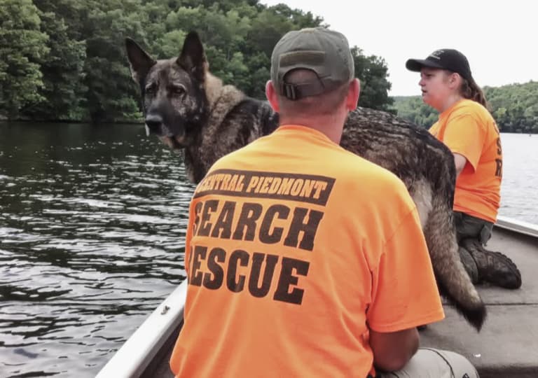 Stillwater search with K9 team
