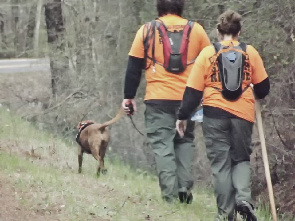 K9 search team following a scent
